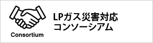 bn_lpgcons