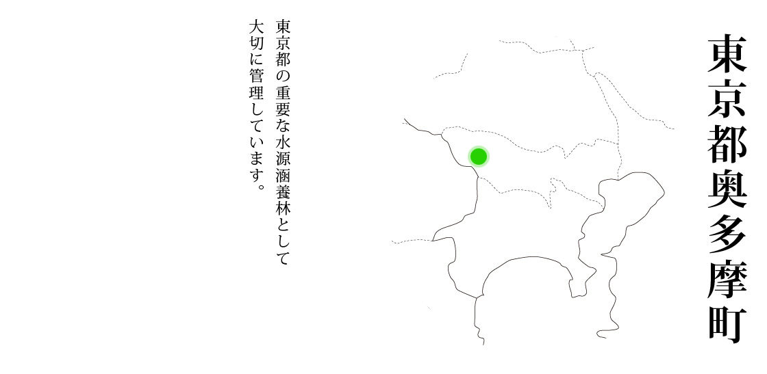 東京都奥多摩町 東京都の重要な水源涵養林として大切に管理しています。